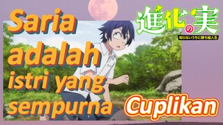 [The Fruit of Evolution]Cuplikan | Saria adalah istri yang sempurna