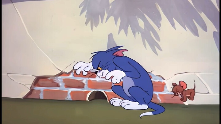 Terrified Tom, shameless Jerry and stupid dog!