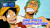 All the Scenes of One Piece That Matter