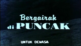 BERGAIRAH DI PUNCAK DEWASA