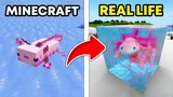 Minecraft vs Realistic minecraft in Real life 1 (cat, axolotl, grass block)