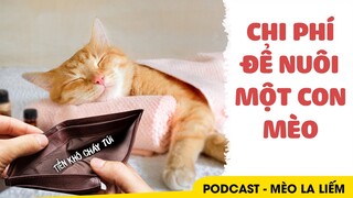 Podcast - Mèo La Liếm #2 | Nuôi mèo tốn bao nhiêu tiền?