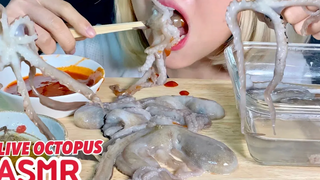 ASMR EATING ALIVE OCTOPUS 🐙(EXOTIC FOOD) กินปลาหมึกตัวเป็นๆสดๆ “ซันนักจี” 4K