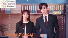 YOU ARE MY SECRET| Ep30 ENGSUB 2024| Chinese Drama | HOT HIT DRAMA