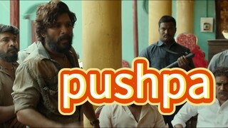 pushpa the rise hindi movie