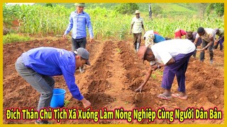 Bàn Cagato Tập 20 || Đích Thân Chủ Tịch Xã Tham Gia Nông Nghiệp Cùng Người Dân Bản - Giống Khoai Tây