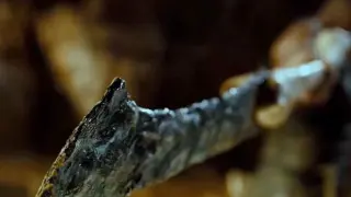 [Film&TV] Pitch Black - Weird creature