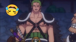 Ronoroa Zoro needs GPS GPS NoMi! 😂