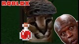 ROBLOX và 24h Chiến Đấu Cùng Mèo Floppa