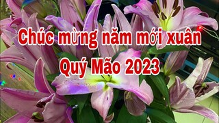 Chúc ae đam mê đón xuân Quý Mão 2023 vui vẻ bên gia đình …