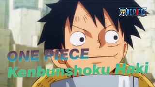 ONE PIECE  Super Kenbunshoku Haki of Luffy