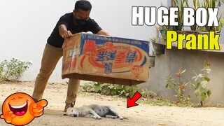 Supper Funny Video prank Dog sleep 2022, Huge Box Prank, Funny Clip