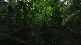 BBC.The.Green.Planet.1of5.Tropical.Worlds