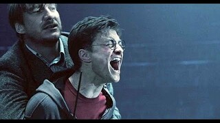 [Harry Potter - Fantastic Beasts] Tôi Dùng Cách Gì Để Giữ Em Lại Đây 我用什么把你留住 (Vietsub)