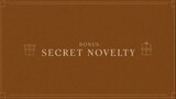 29. Bonus Secret Novelty