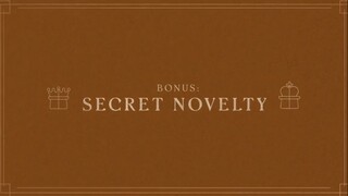 29. Bonus Secret Novelty