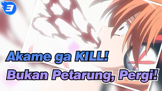 Akame ga KILL!
Bukan Petarung, Pergi!_3