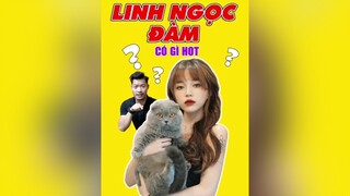 Dòng mèo ngắn munchkin mà Linh Ngọc Đàm đang nuôi có gì hot! LearnOnTikTok education tuitienpet linhngocdam munchkin pet thucung esm