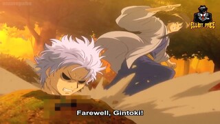 Gintama ARC SUMMARY #27 - KABUKICHO STRAY CAT ARC - Gintoki Pee And Suddenly Turns Into A Cat | 銀魂