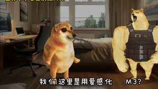 当你不小心在澳洲入狱