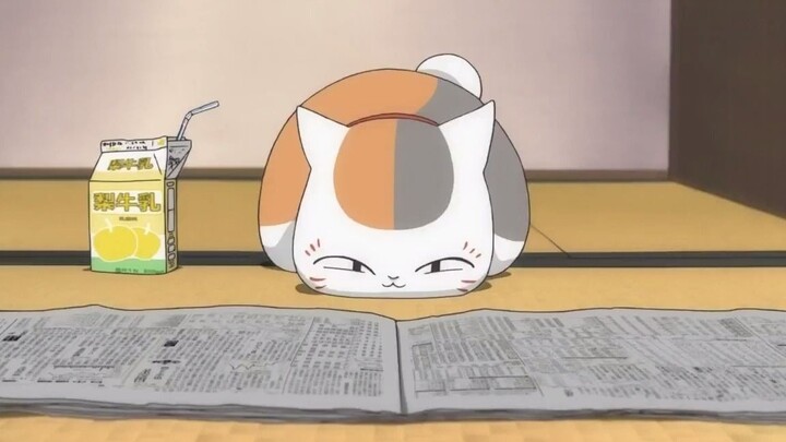 As soon as Natsume came home, he lay down, and the grumpy cat yelled, and Natsume was cursed!