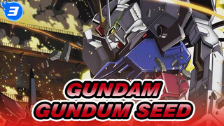 Gundam|[2019 Tokyo Dome Music Festival]Gundum SEED Part_3