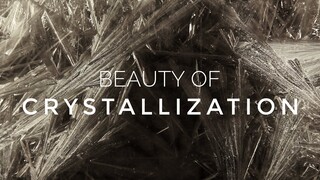 Beauty of Crystallization - A Time Lapse Video about Crystal Growth