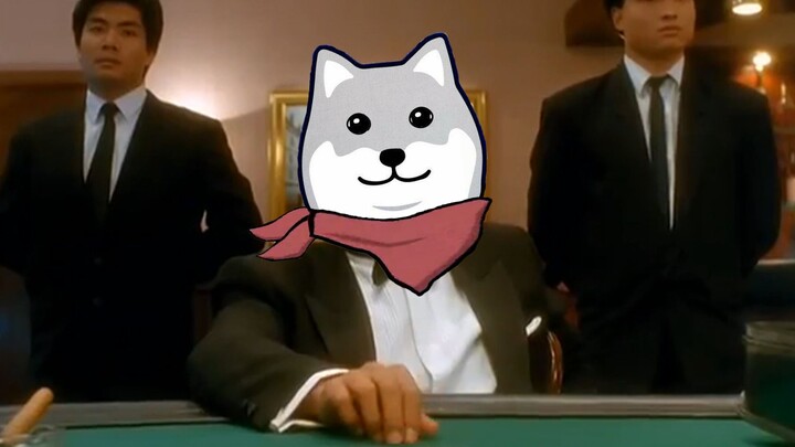 [Tẩy não] Lồng tiếng: Chó chơi cờ bạc