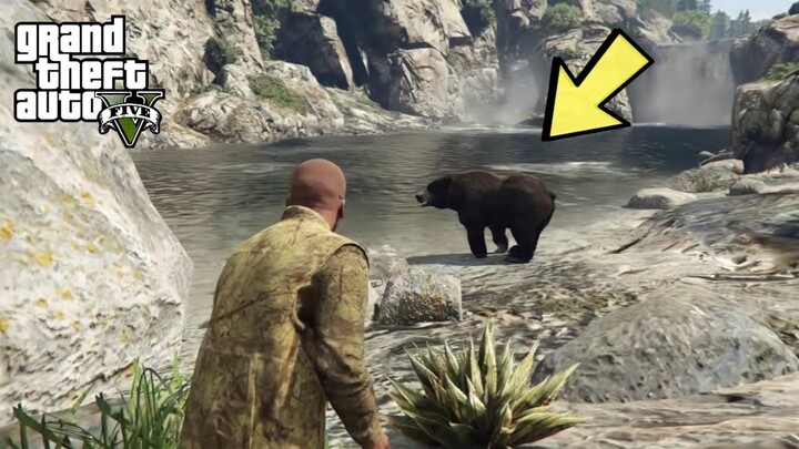 Benarkah Ada Beruang Di GTA 5?