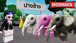 สร้างปางช้างใน Brookhaven! (มีช้างเป็นโขลง) | Roblox 🏡 Elephant Brookhaven