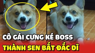 Cô gái CƯNG KÉ BOSS nhà HÀNG XÓM vô tình trở thành Sen bất đắc dĩ 😂 | Yêu Lu