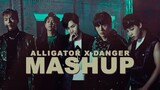 MONSTA X & BTS :: 'Alligator X Danger' (ft. GOT7 & NCT U) (MASHUP)