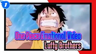 I Miss You So Much: Luffy Brothers Emotional Video (Bring Some Tissue) | One Piece_1