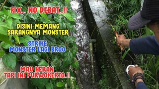 NO DEBAT !! Padahal Cuma Gorong Gorong Kecil, TAPI JADI SARANG IKAN MONSTER !!