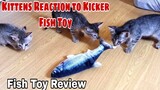 Moving Fish Kicker Cat Toy| Flippity Fish Cat Toy 2020! Does it works? | CatsLifePhils
