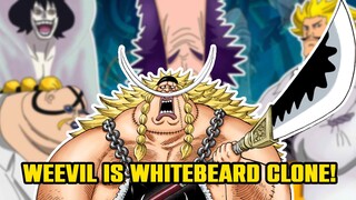 Edward Weevil is a Whitebeard Clone created by Vegapunk