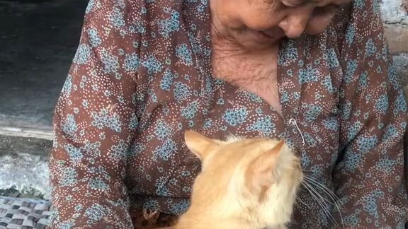 Oyen lagi di nasehatin nenek.