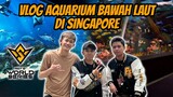 VLOG KE AQUARIUM BAWAH LAUT SINGAPORE!! DAY 2 || FFWS 2022 SENTOSA