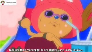 Những hành động hài hước của chopper [AMV] #anime #onepiece #daohaitac