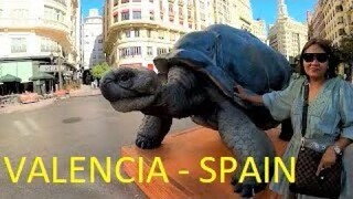 Valencia City Tour ||  Dolphins Show