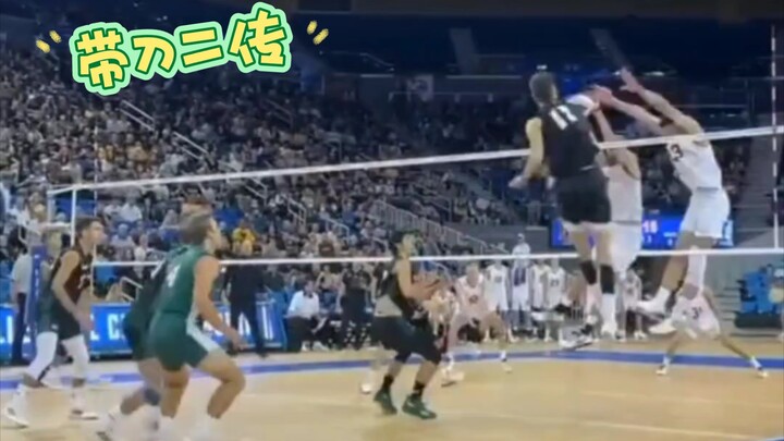 🏐Bóng chuyền nổi bật｜Chết tiệt! Người định cư này có một con dao!