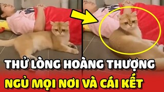 Sen thử lòng Hoàng Thượng bằng cách NGỦ KHẮP MỌI NƠI 😂 | Yêu Lu