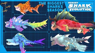 THE BIGGEST SHARK IN HUNGRY SHARK EVOLUTION. All Sharks Size Comparison [Season 3] Sharknarok Update