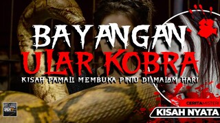 BAYANGAN ULAR KOBRA | KISAH PAMALI MEMBUKA PINTU DI MALAM HARI - CERITA MISTERI