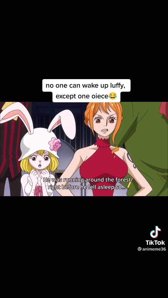 No One Can Wake Up Luffy Except One Piece Ahhaha Bilibili