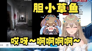 【沐霂】搞笑视频，但是“主播被吓到的反应更搞笑🤣”胆小草鱼笑死我了😆