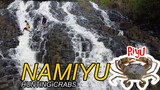 NAMIYU story (hunting crabs)