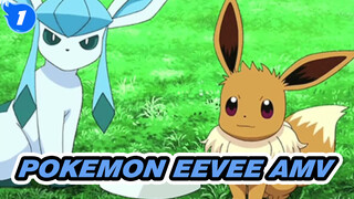 Eevee - Shape Of You | Pokemon AMV_1