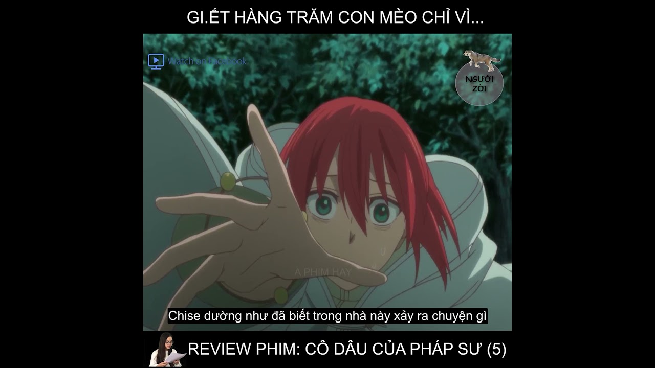 Review Phim: Cô Dâu Của Pháp Sư - Tập 5 - Bilibili