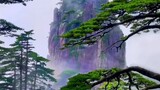 China, early summer in Huangshan, with lush green trees providing shade. #ParadiseOnEarth #Scenery